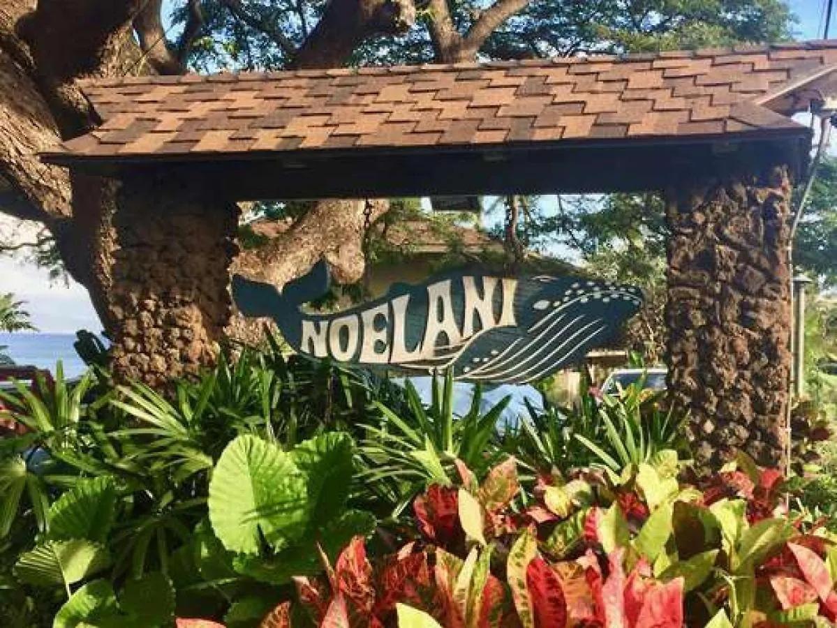 Noelani 207 Villa Kahana 0*,